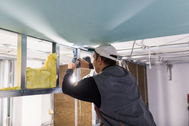 Best Professional Insulation Contractor  in Penryn, CA