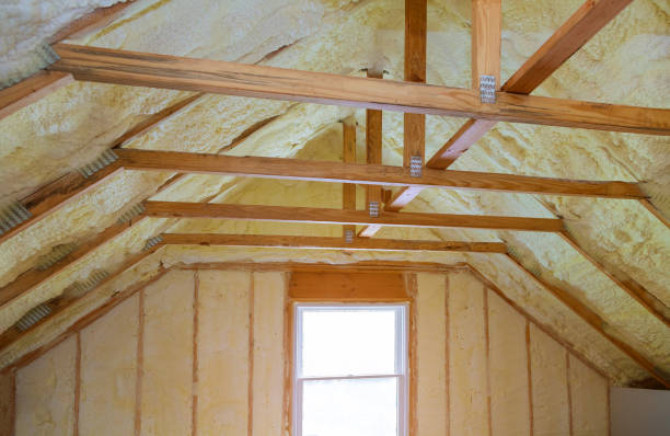 Best Insulation Removal  in Penryn, CA
