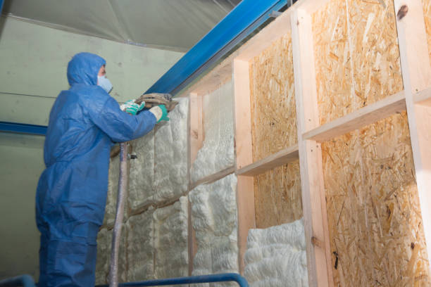 Best Insulation Inspection Services  in Penryn, CA